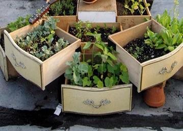 The Urban Garden Trend For Those With Limited Space To Grow