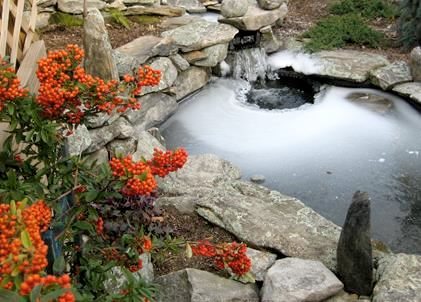 Avoid Your Pond Freezing Over This Winter