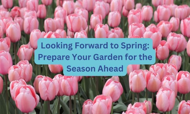 Looking Forward to Spring: Prepare Your Garden for the Season Ahead