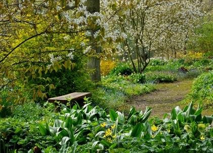 Transform Your Garden Into a Woodland Wonderland