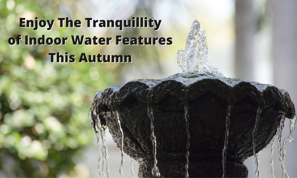 Enjoy The Tranquillity of Indoor Water Features This Autumn