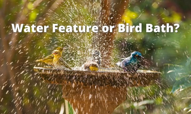 Water Feature Or Bird Bath? | UK Water Features