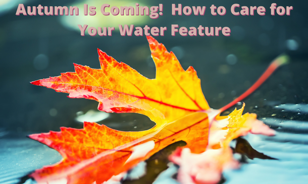 Autumn Is Coming! How to Care for Your Water Feature