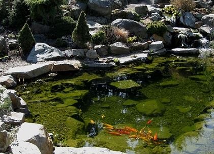 How to Install a Pond in Your Garden