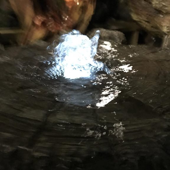 additional image for Tree Trunk Section Bubbling Water Feature with LED Lights